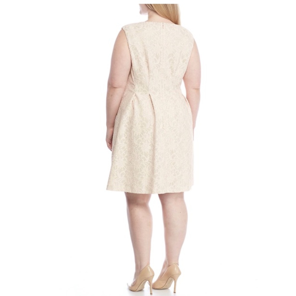 NWT Lace Fit and Flare Dress - Picture 2 of 5